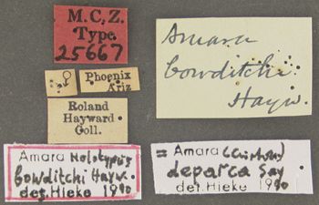 Media type: image;   Entomology 25667 Aspect: labels